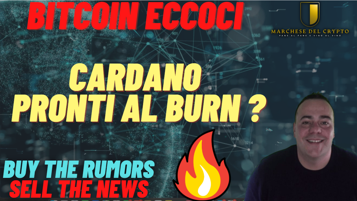 will cardano burn coins 2022